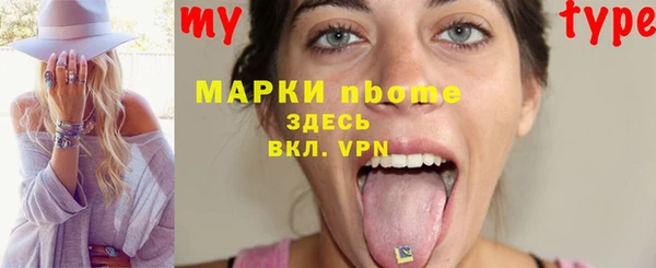 стаф Корсаков