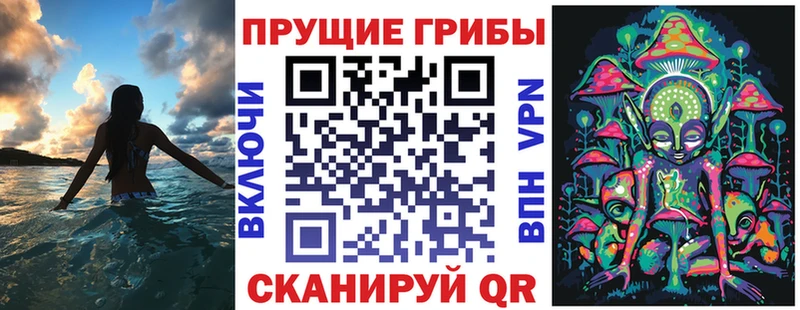 Купить  Беслан  Псилоцибиновые грибы мицелий 